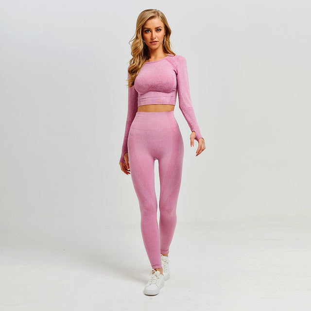 Two Piece Long Sleeve Crop Top and Leggings Gym Set – AZURA THE LABEL