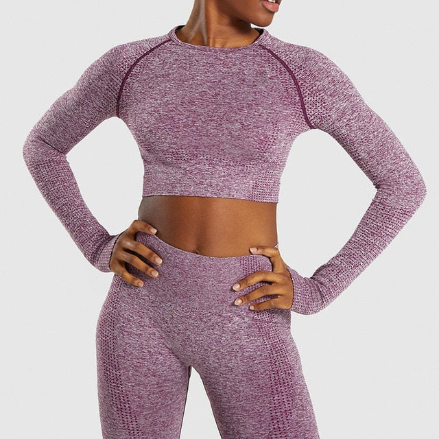 Seamless Long Sleeve Crop Top and Leggings Set for Ladies TLS262